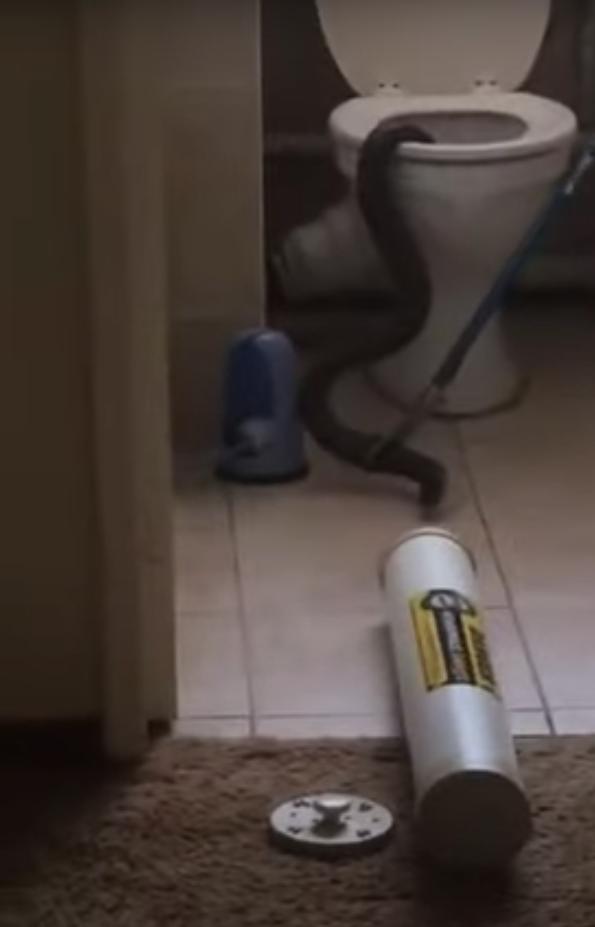 Turista fue mordido por una serpiente al sentarse en un inodoro en Sudáfrica El Turista holandés se sentó e inmediatamente fue atacado por la serpiente, que le mordió en los genitales.