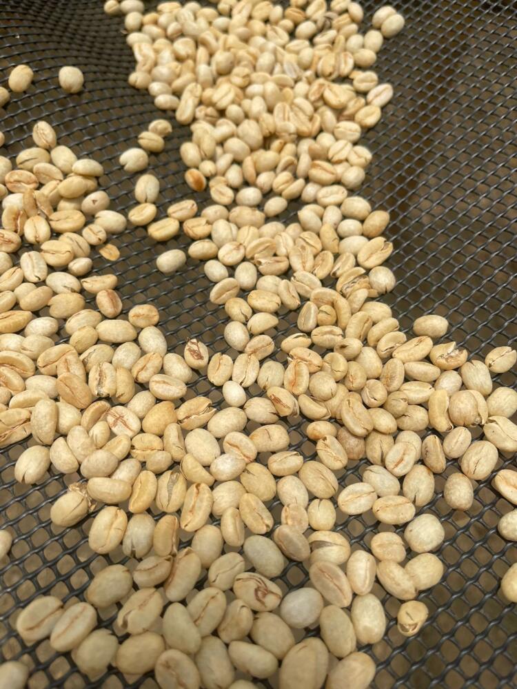 Así se produce café en Cundinamarca 2 Así se produce café en Cundinamarca Encontrar café de los mejores estándares de calidad, recolección y producción ahora es posible a tan solo una hora de Bogotá.