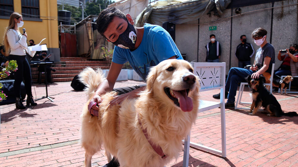 ¡Vacuna gratis a tu perro o gato contra la rabia! Estos serán los puntos de atención La Secretaría de Salud habilitó varios puntos para que asistas con tu perro o gato, los días viernes del mes de abril para la vacunación gratuita contra la enfermedad de la rabia. 