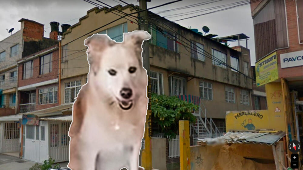 Conozca los detalles del cruel asesinato de una perrita en Puente Aranda La violencia que a diario padecen los animales en Bogotá, una alarmante cantidad de la población, se ha vuelto parte del paisaje: perros famélicos, enfermos, atropellados o envenenados son parte de la infamia que se vive en no pocos barrios de la capital.