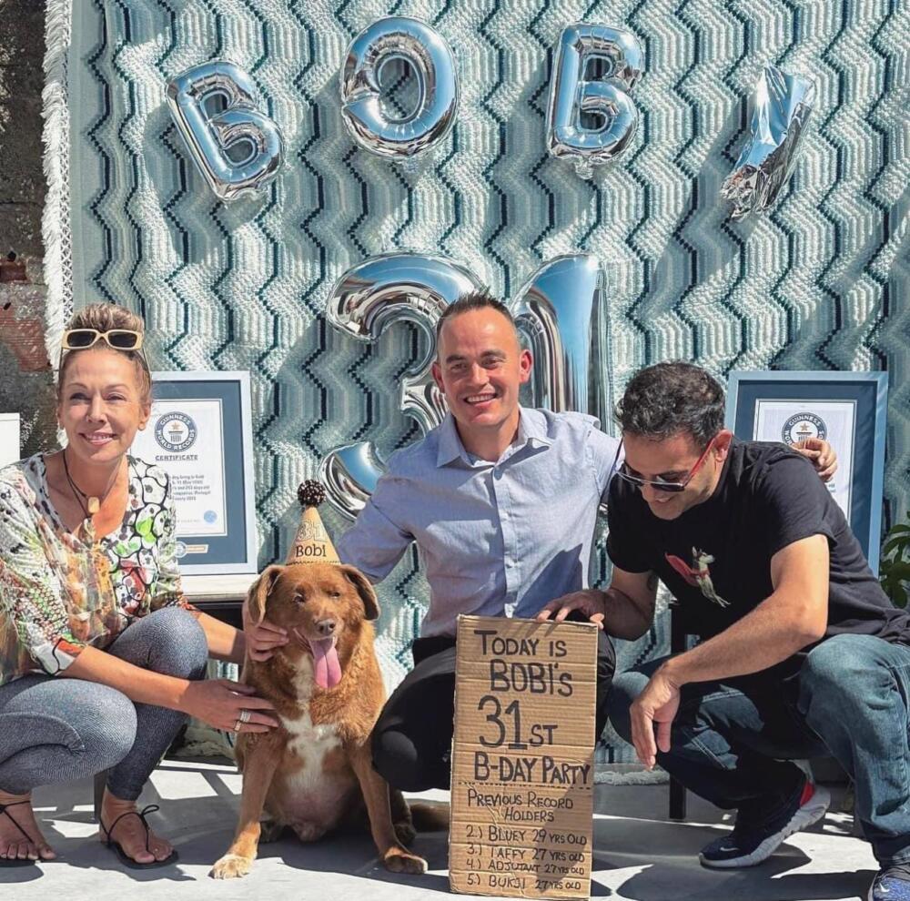 Bobi: el perro más viejo del mundo 1 Bobi: el perro más viejo del mundo Bobi celebró su cumpleaños número 31.