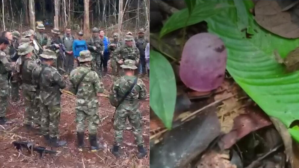 Nuevas pistas de los niños perdidos en el Guaviare: encontraron un pañal y unos tenis En las últimas horas, las Fuerzas Militares y comunidades indígenas que participan en la búsqueda en las selvas del sur del país, ubicaron en dos lugares diferentes pañales, tenis, un accesorio de celular, una tapa de tetero y una toalla.