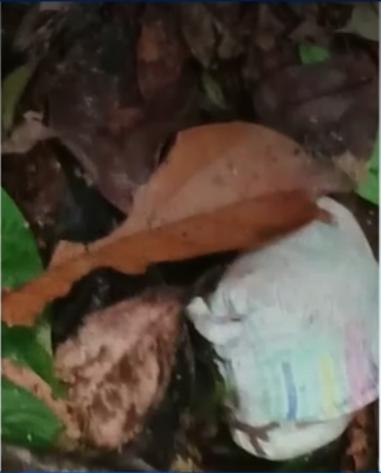 Nuevas pistas de los niños perdidos en el Guaviare: encontraron un pañal y unos tenis 1 Nuevas pistas de los niños perdidos en el Guaviare: encontraron un pañal y unos tenis En las últimas horas, las Fuerzas Militares y comunidades indígenas que participan en la búsqueda en las selvas del sur del país, ubicaron en dos lugares diferentes pañales, tenis, un accesorio de celular, una tapa de tetero y una toalla.