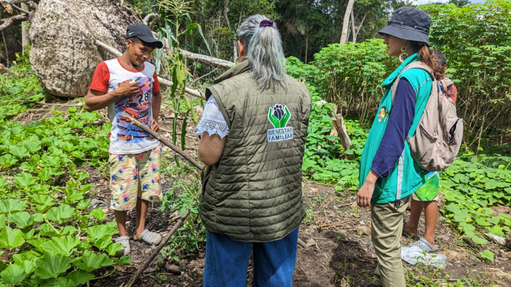 Nuevas pistas de los niños perdidos en el Guaviare: encontraron un pañal y unos tenis 2 Nuevas pistas de los niños perdidos en el Guaviare: encontraron un pañal y unos tenis En las últimas horas, las Fuerzas Militares y comunidades indígenas que participan en la búsqueda en las selvas del sur del país, ubicaron en dos lugares diferentes pañales, tenis, un accesorio de celular, una tapa de tetero y una toalla.