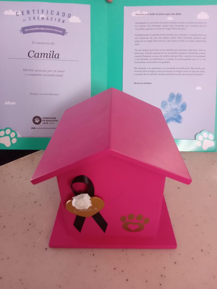 Una perrita no pudo soportar la muerte de su dueña y falleció de tristeza 1 Una perrita no pudo soportar la muerte de su dueña y falleció de tristeza La perrita no soportó la ausencia de su dueña y murió.