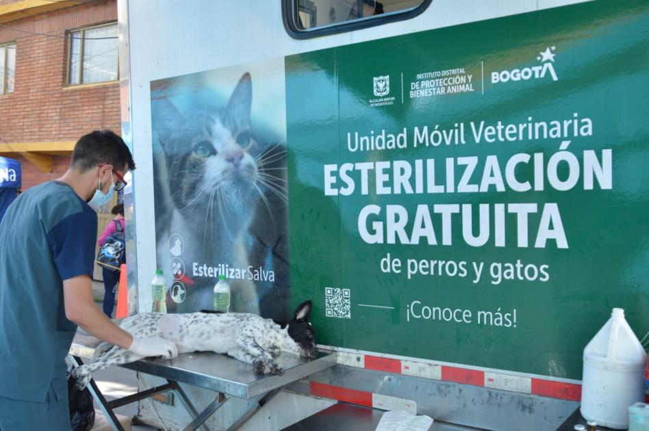 Así podrá agendar la esterilización de su mascota de manera gratuita El Instituto Distrital de Protección y Bienestar Animal, se informó que se habilitaron los turnos para poder esterilizar de manera gratuita a las mascotas en la Unidad de Cuidado Animal UCA ubicada en la Carrera 106a # 67-02. 