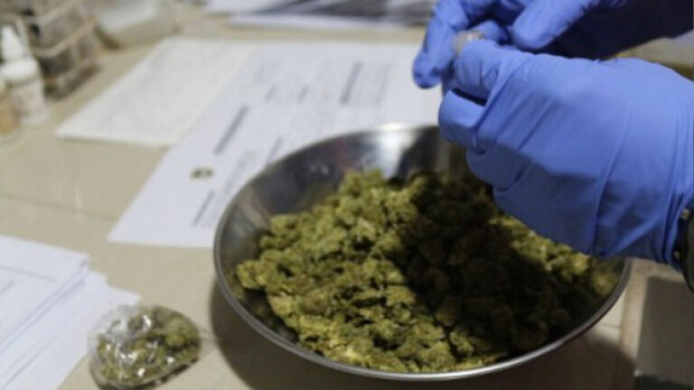 Buscan crear la primera empresa pública para venta de cannabis Proponen crear una empresa para la venta de Marihuana.