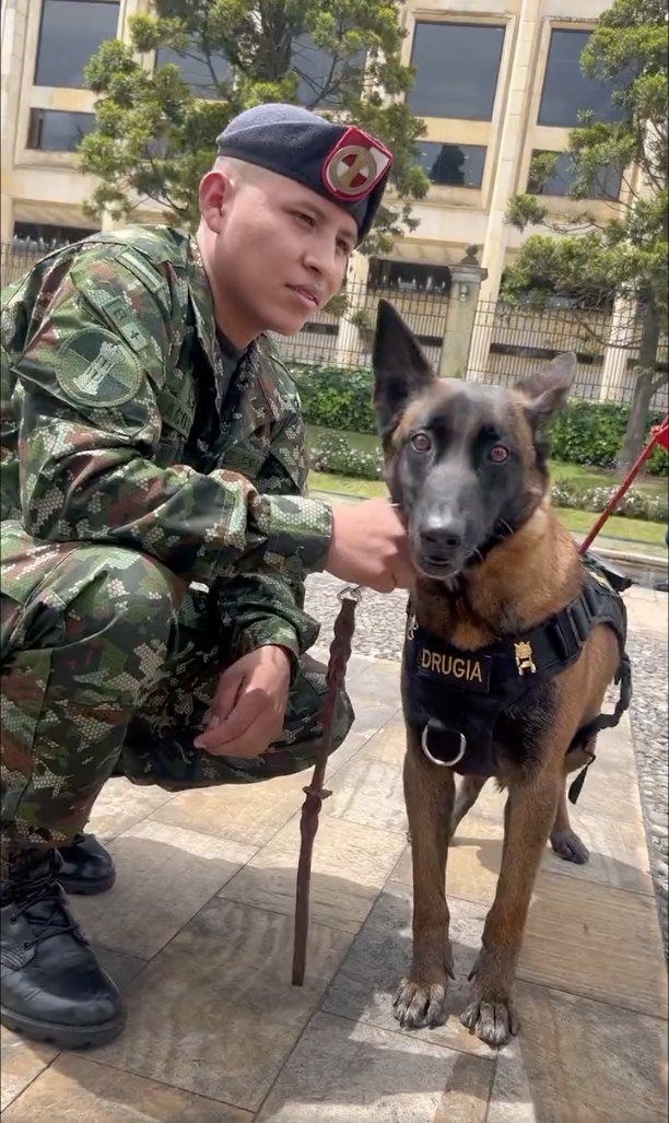 Condecoran a mamá de Wilson por su labor en el rescate de los niños 1 Condecoran a mamá de Wilson por su labor en el rescate de los niños La perrita fue condecorada en nombre de Wilson, al igual que militares e indígenas que participaron en la extensa y ardua búsqueda de los menores en la selva.