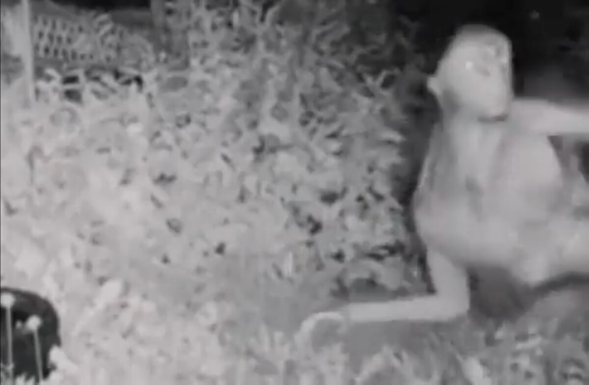 EN VIDEO: Captan a supuesto extraterrestre en Las Vegas Familia captó el momento en el que un ovni se encuentra en el jardín de su vivienda en Las Vegas.