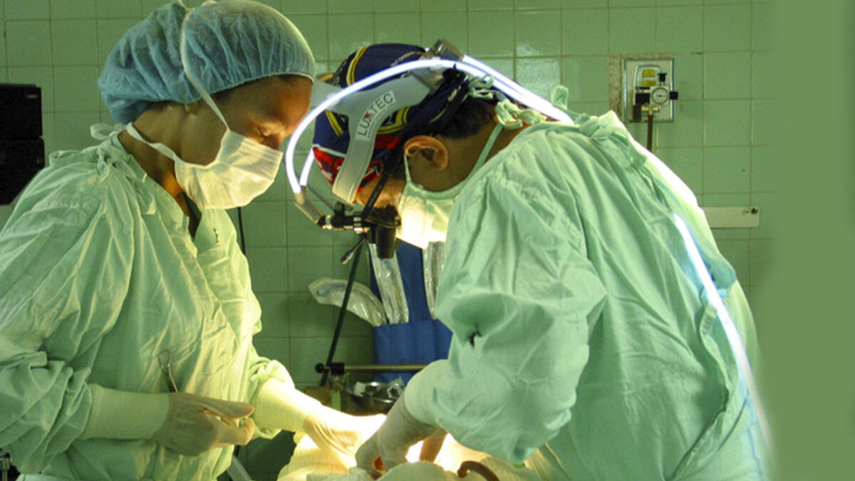 Estas son las cirugías estéticas que deben asumir las EPS Tras el anuncio de la Corte Constitucional, en el que recuerda a las Entidades Promotoras de Salud, EPS, que deben cubrir los procedimientos médicos estéticos con fines funcionales o reconstructivos, muchas son las dudas que se han generado frente al tema. Ante esta situación, expertos, cirujanos y abogados consultados por El País resuelven las inquietudes que rondan la web y las redes sociales.