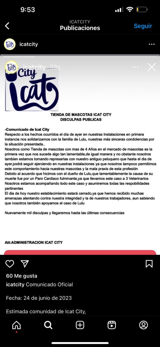 ¡Indignante! Mandaron a bañar a una gatita y la devolvieron muerta En las últimas horas se conoció a través de redes sociales un lamentable caso de maltrato animal que involucra a un establecimiento dedicado al cuidado de las mascotas ubicado en el municipio de Soacha.
