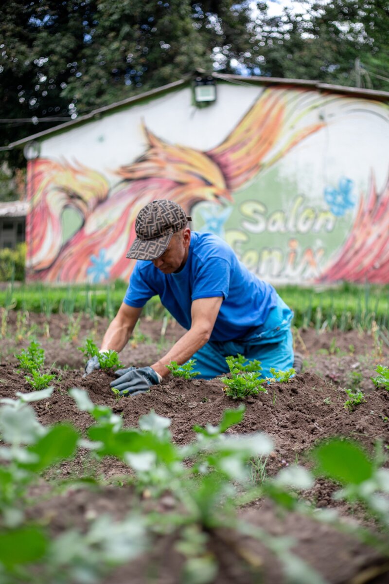 Prográmese con los planes que trae el Jardín Botánico en estas vacaciones A partir de este martes 27 de junio, los niños podrán disfrutar de las vacaciones científicas del Jardín Botánico, donde vivirán un encuentro con la naturaleza.