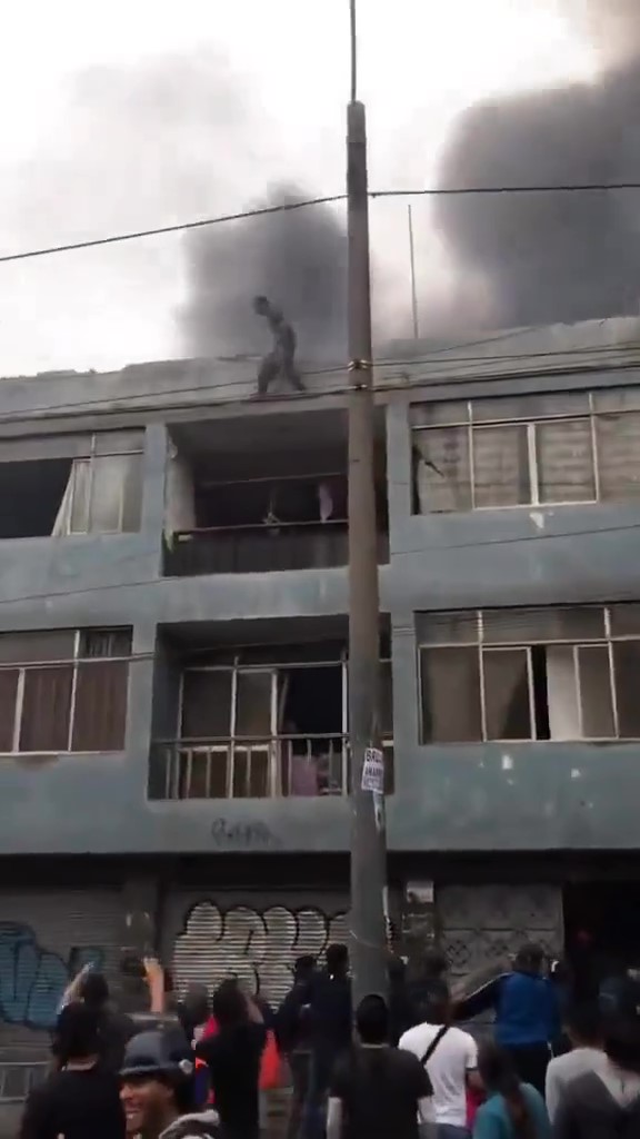 ¡Es un héroe! Un colombiano rescató a 25 perros de un incendio en Perú