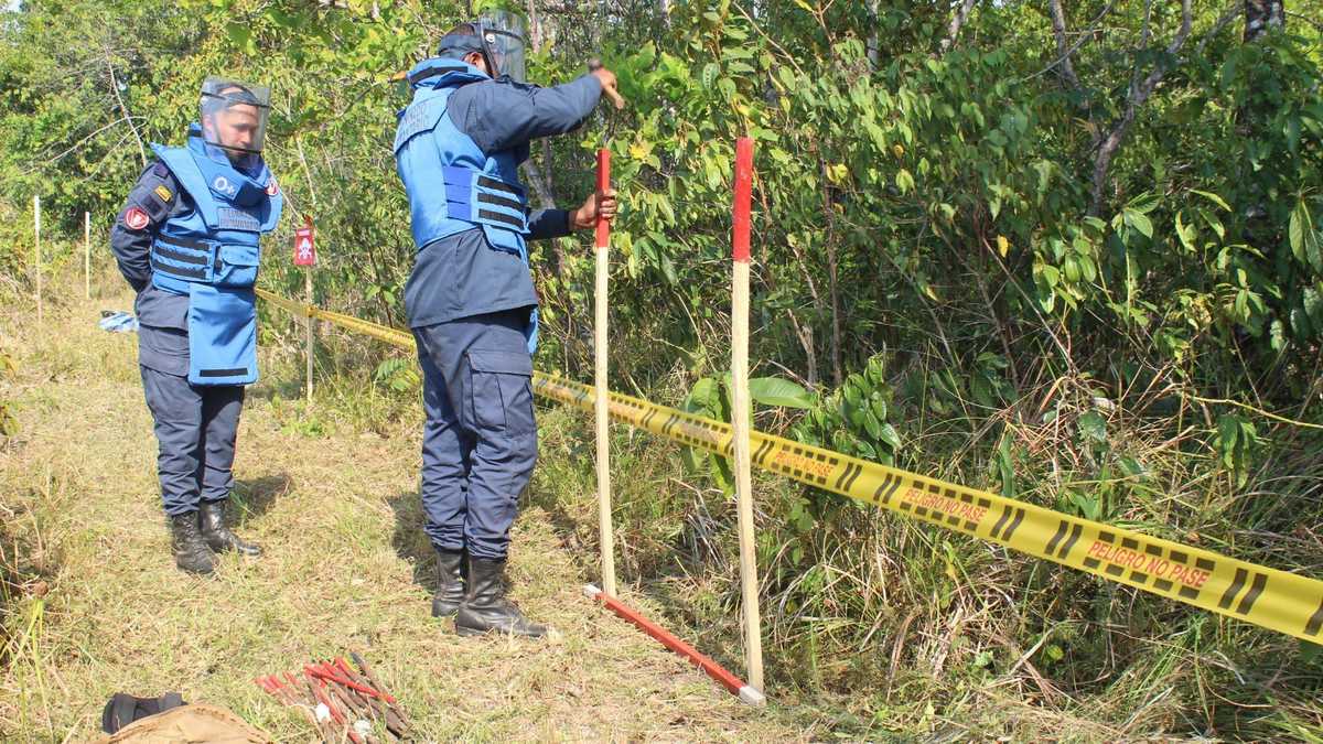 Secuestraron a tres funcionarios de desminado humanitario Secuestraron a dos hombres y una mujer que trabajan en una empresa de desminado humanitario.