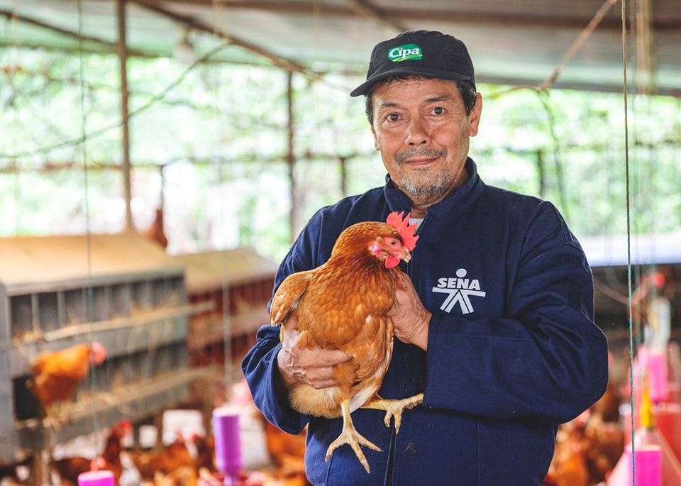 ¡25 mil millones para el campo colombiano! Pare bolas porque en el marco de la celebración del día Nacional de la Campesina y el Campesino, el Sena anunció que desde el Fondo Emprender se destinarán alrededor de 25.000 millones de pesos para el campo colombiano.