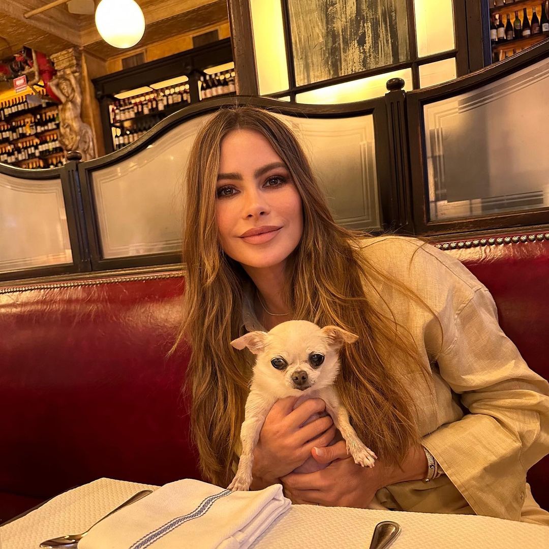 ¡Parece de 20! Sofía Vergara sorprendió con una foto sin maquillaje Sofia Vergara sorprendió tras aparecer en una foto sin maquillaje.