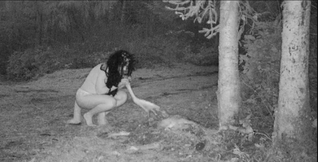 ¿Vivimos entre las brujas? 1 ¿Vivimos entre las brujas? Q'HUBO consultó con el parapsicólogo e investigador de Fenómenos Paranormales, Alexánder Torres, quien nos habló sobre las brujas.