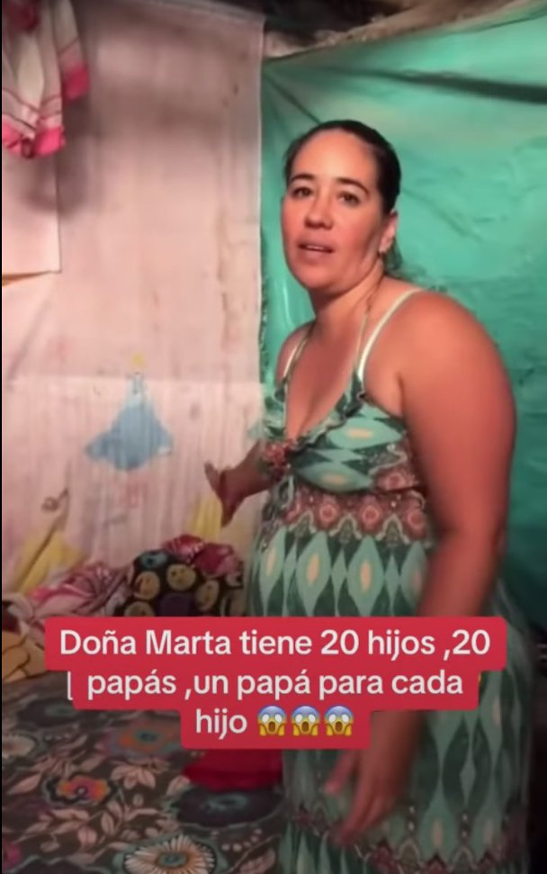"Hasta que el cuerpo aguante": mujer que tiene 20 hijos con padres diferentes y planea tener más En un video, que rápidamente se ha viralizado en redes sociales, se conoció la historia de una mujer que tiene 20 hijos de padres diferentes y planea tener más.