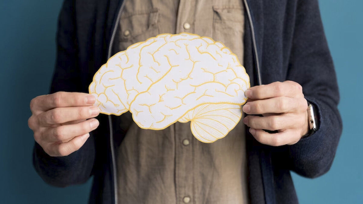 Así podrá cuidar su salud cerebral 1 Así podrá cuidar su salud cerebral Moderando el consumo de alcohol y teniendo una dieta equilibrada podrá cuidar su cerebro.