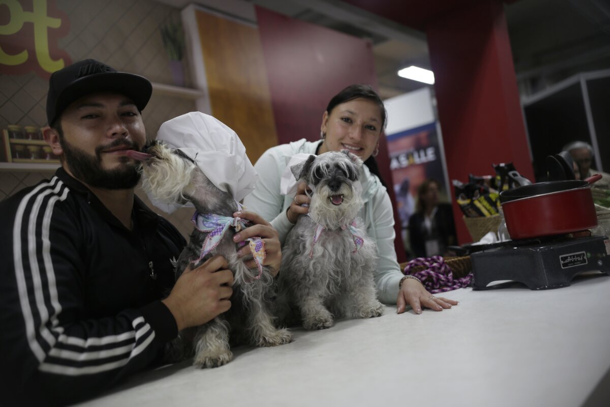 Conozca los puntos para vacunar a su mascota contra la rabia La Secretaría Distrital de Salud recibió 80 mil dosis de vacuna contra la rabia para perros y gatos por parte del Ministerio de Salud y Protección Social, lo cual le permite reanudar 26 puntos fijos de atención gratuita.