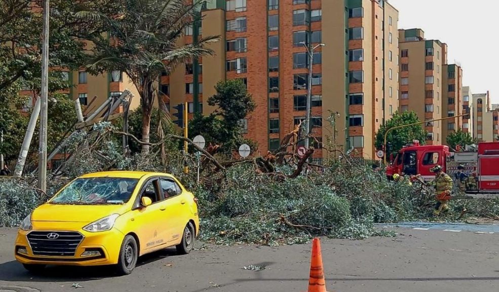 Fontibón: taxista se salvó de morir aplastado por un árbol en Ciudad Salitre 3 Fontibón: taxista se salvó de morir aplastado por un árbol en Ciudad Salitre Por culpa de las fuertes vientos un árbol se vino abajo en el barrio Ciudad Salitre Occidental, en Fontibón, y terminó contra un taxista, quien salió sin un rasguño del vehículo.