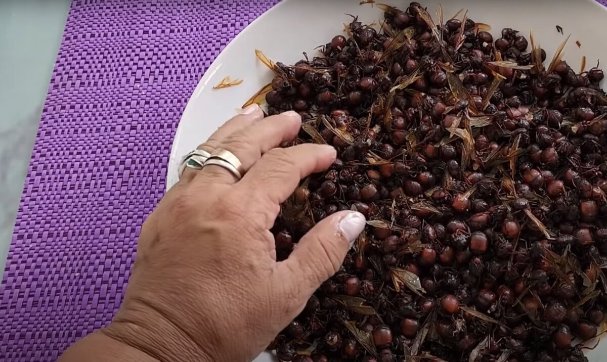 Hormigas culonas y los envueltos, entre las peores comidas del mundo Las hormigas culonas ocuparon el puesto número dos en la lista de los “Diez alimentos callejeros peor calificados del mundo”, recopilada por Taste Atlas.