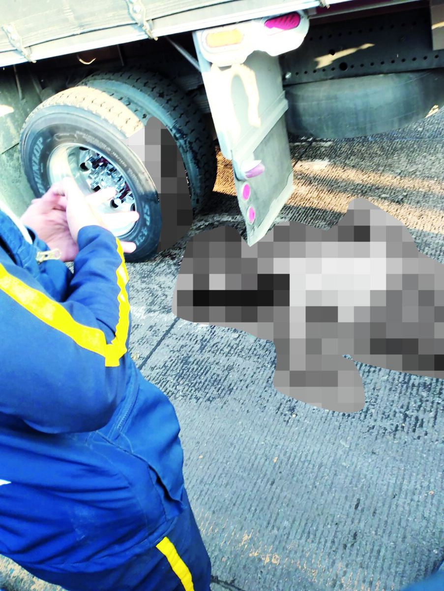 Kennedy: Impactante accidente cobró vida de trabajador en Coorabastos por la puerta 6 1 Kennedy: Impactante accidente cobró vida de trabajador en Coorabastos por la puerta 6 La víctima del accidente iba en bicicleta cerca a la puerta 6 de Coorabastos, en Kennedy, pero un accidente con un camión de carga le costó la vida.