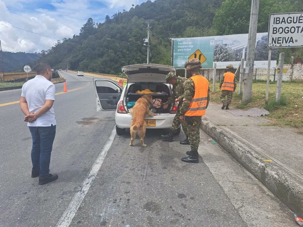 Killer, el perro antidroga que los narcos tienen amenazado Killer es un perro de raza Labrador Retriever que se ha convertido en el canino con mayor seguridad del país, pues permanece constantemente custodiado en la zona especial del Batallón de Infanteria N 18 Coronel Jaime Rookie en la Base Militar de Cajamarca, debido a que se ha convertido en el blanco de amenazas por parte de bandas del narcotráfico.