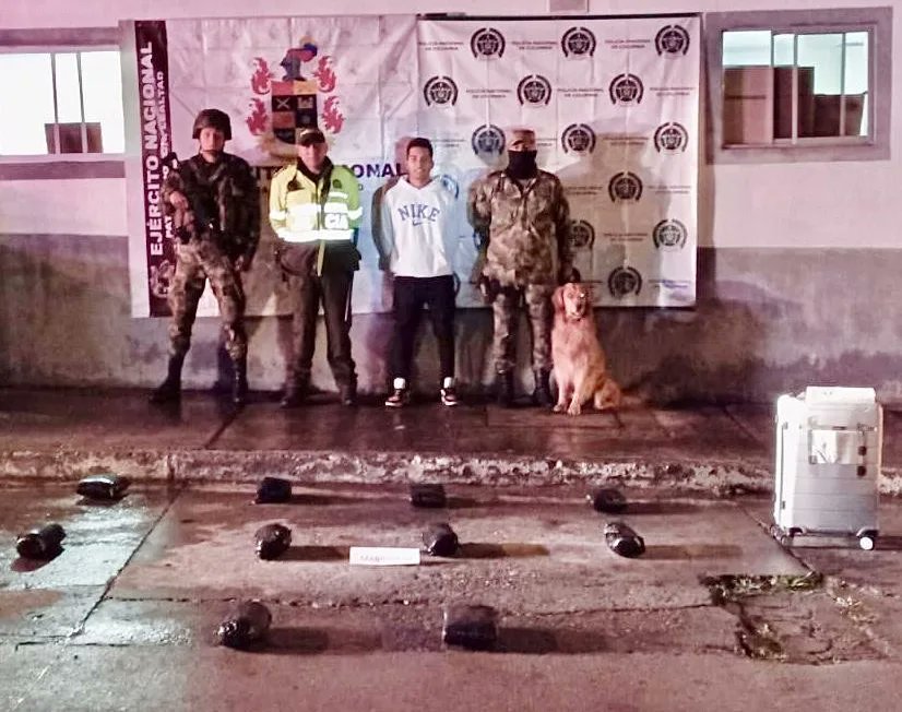 Killer, el perro antidroga que los narcos tienen amenazado Killer es un perro de raza Labrador Retriever que se ha convertido en el canino con mayor seguridad del país, pues permanece constantemente custodiado en la zona especial del Batallón de Infanteria N 18 Coronel Jaime Rookie en la Base Militar de Cajamarca, debido a que se ha convertido en el blanco de amenazas por parte de bandas del narcotráfico.