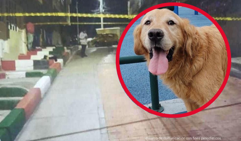 El cruel asesinato de Toby en Ciudad Bolívar