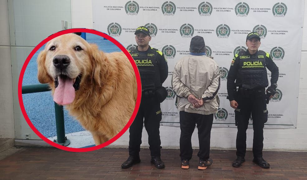 El asesino de Toby no aceptó cargo por maltrato animal