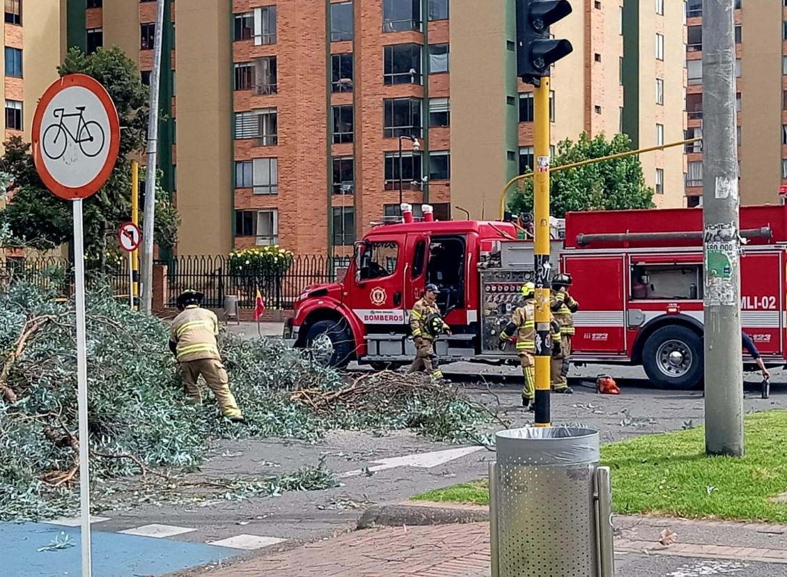 Fontibón: taxista se salvó de morir aplastado por un árbol en Ciudad Salitre 1 Fontibón: taxista se salvó de morir aplastado por un árbol en Ciudad Salitre Por culpa de las fuertes vientos un árbol se vino abajo en el barrio Ciudad Salitre Occidental, en Fontibón, y terminó contra un taxista, quien salió sin un rasguño del vehículo.