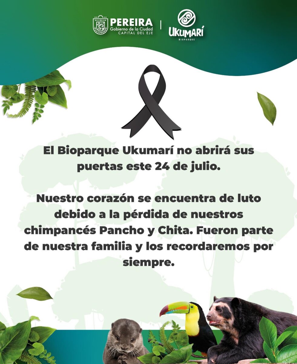 ¿Por qué sacrificaron a los dos chimpancés que escaparon del Bioparque Ukumarí? 2 ¿Por qué sacrificaron a los dos chimpancés que escaparon del Bioparque Ukumarí? En la noche del domingo 23 de julio se reportó el escape de Pancho y Chita, dos chimpancés que se encontraban en el Bioparque Ukumarí, de Risaralda, y esta mañana se confirmó el sacrificio de los animales por parte de las autoridades.