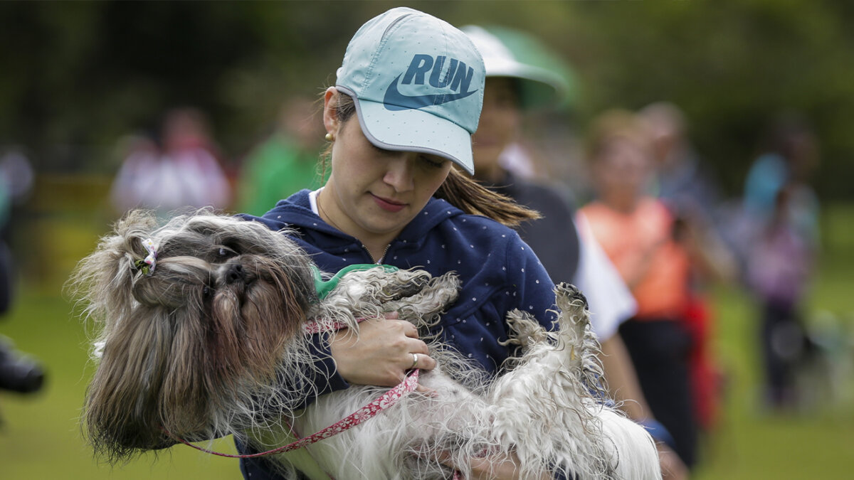 ¿Sabe por qué el 21 de julio se celebra el Día Mundial del Perro? Aquí le contamos Hoy 21 de julio se celebra mundialmente el Día del Perro, esta es una fecha que busca homenajear la vida de los peluditos considerados como "los mejores amigos del hombre" y aunque esta es una celebración que tiene lugar cada año desde el 2004, muy pocos conocen el triste motivo por el que se originó.