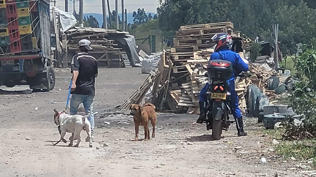 ¡Aterrador! Hallan un cuerpo en Kennedy Vecinos del barrio Las Palmas, del sector de Kennedy, hallaron el cuerpo de un hombre con evidentes signos de violencia y tortura.