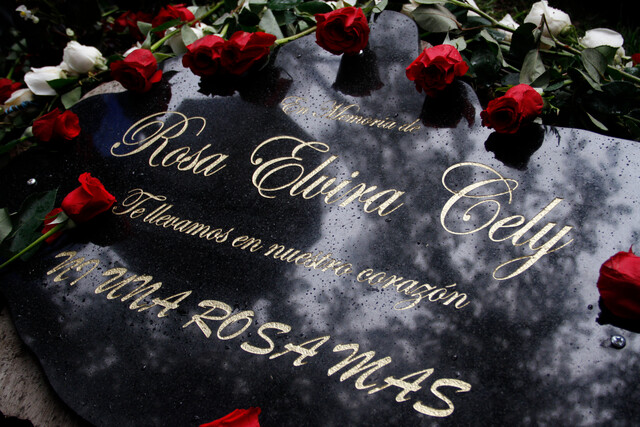 Condenan a la Fiscalía y al Distrito por negligencia en caso de Rosa Elvira 1 Condenan a la Fiscalía y al Distrito por negligencia en caso de Rosa Elvira Luego de más de una década del feminicidio de Rosa Elvira Cely, un juez de Bogotá aceptó la demanda interpuesta por su familia, por las fallas en la justicia y en las entidades responsables.