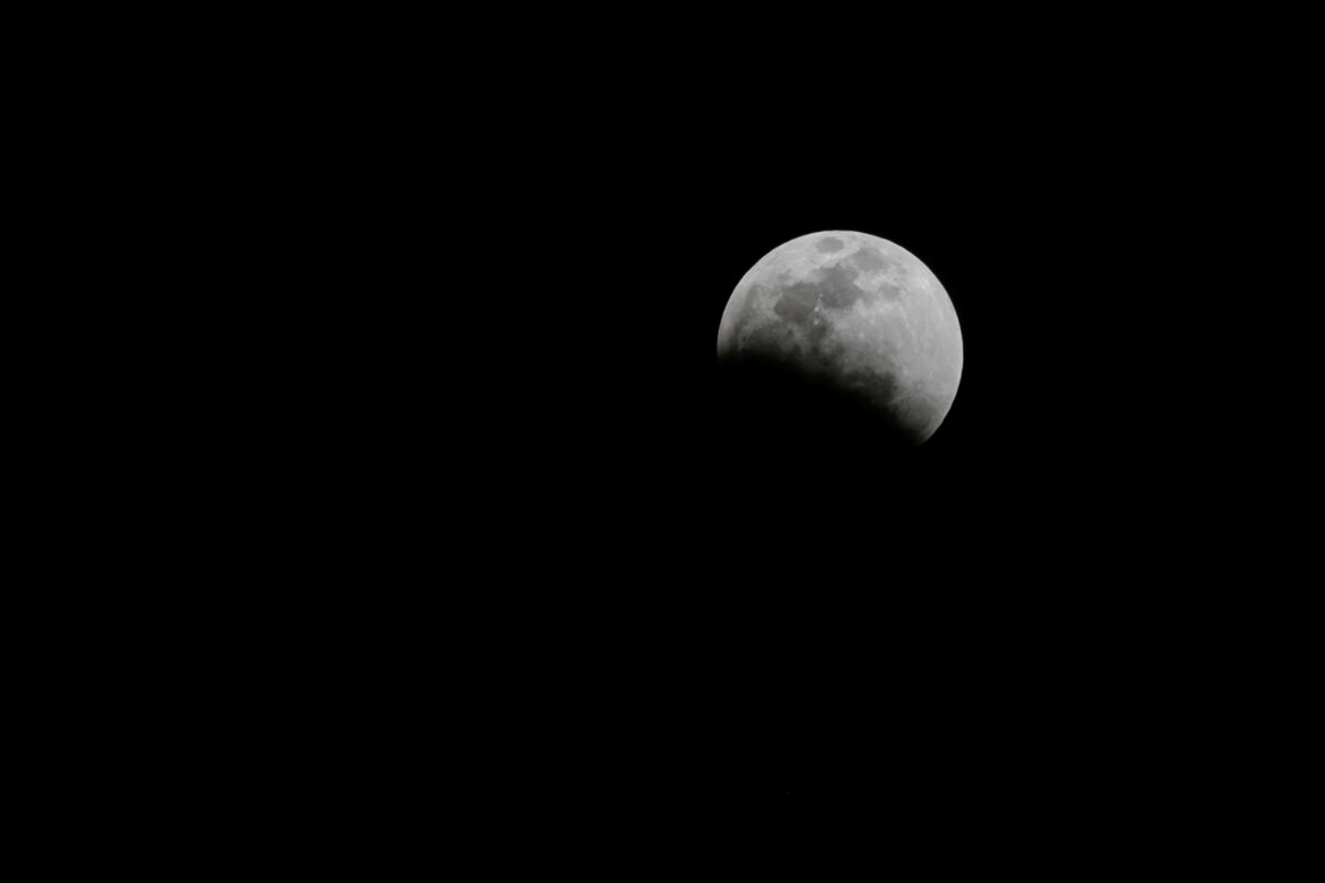 Así influyen los ciclos de la luna en las plantas y la jardinería