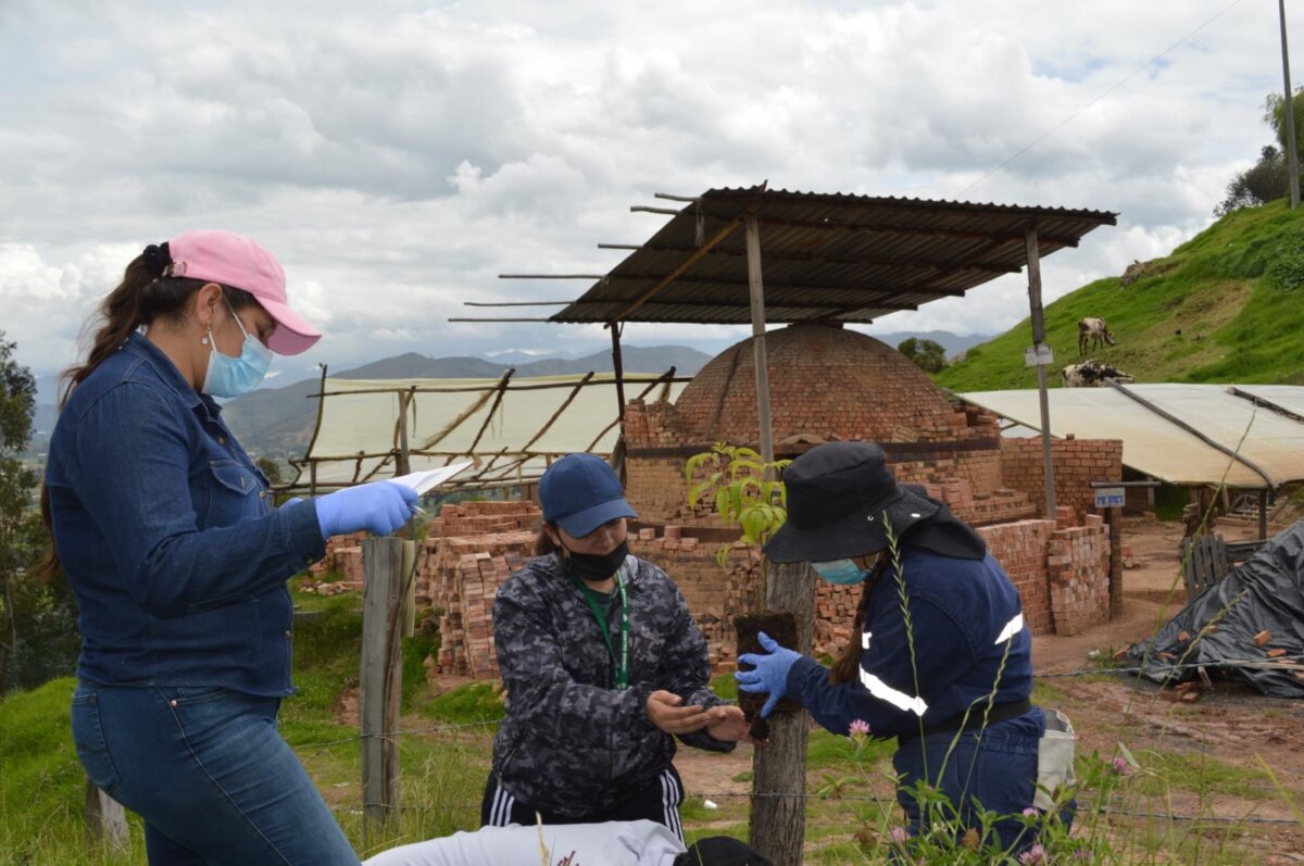 Campesena, un programa que siembra progreso 1 Campesena, un programa que siembra progreso Para potenciar la ola de transformación en las regiones campesinas del país llega CampeSENA, una estrategia que está diseñada bajo los lineamientos del Gobierno Nacional, y que busca facilitar el acceso de las personas que viven de la naturaleza a los servicios y programas del SENA.