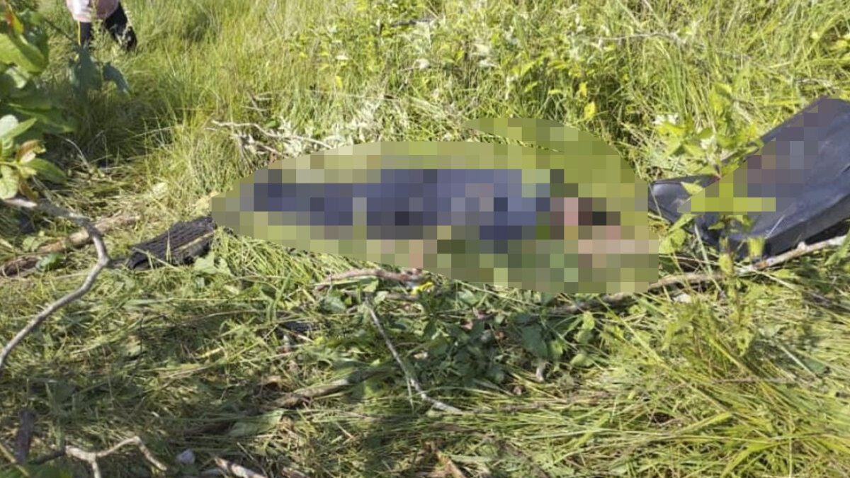 Dos policías muertos dejó atentado de las disidencias de las Farc 1 Dos policías muertos dejó atentado de las disidencias de las Farc Durante la mañana de este jueves se registró un ataque con explosivos a una patrulla de Policía que transitaba en la vía que comunica al municipio de Fuente de Oro y Puerto Lleras, al sur del departamento del Meta. Este hecho terminó acabando con la vida de dos uniformados.