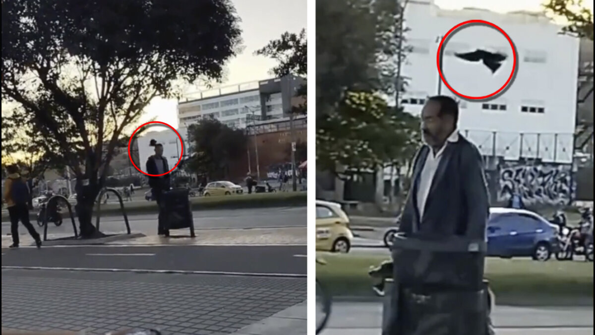 EN VIDEO: Palomas atacan a personas que pasan cerca de su nido en Bogotá 6 EN VIDEO: Palomas atacan a personas que pasan cerca de su nido en Bogotá Un insólito video que circula a través de redes sociales dejó en evidencia el momento en el que varias palomas atacan a transeúntes que caminan bajo un árbol, al parecer, donde ellas tienen su nido. Vea el video aquí.
