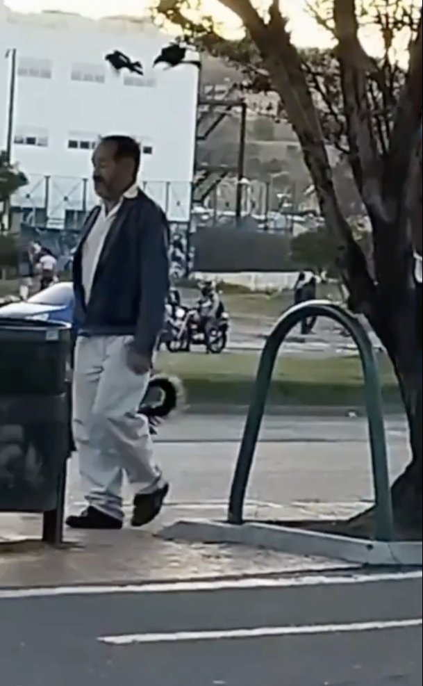 EN VIDEO: Palomas atacan a personas que pasan cerca de su nido en Bogotá Un insólito video que circula a través de redes sociales dejó en evidencia el momento en el que varias palomas atacan a transeúntes que caminan bajo un árbol, al parecer, donde ellas tienen su nido. Vea el video aquí.