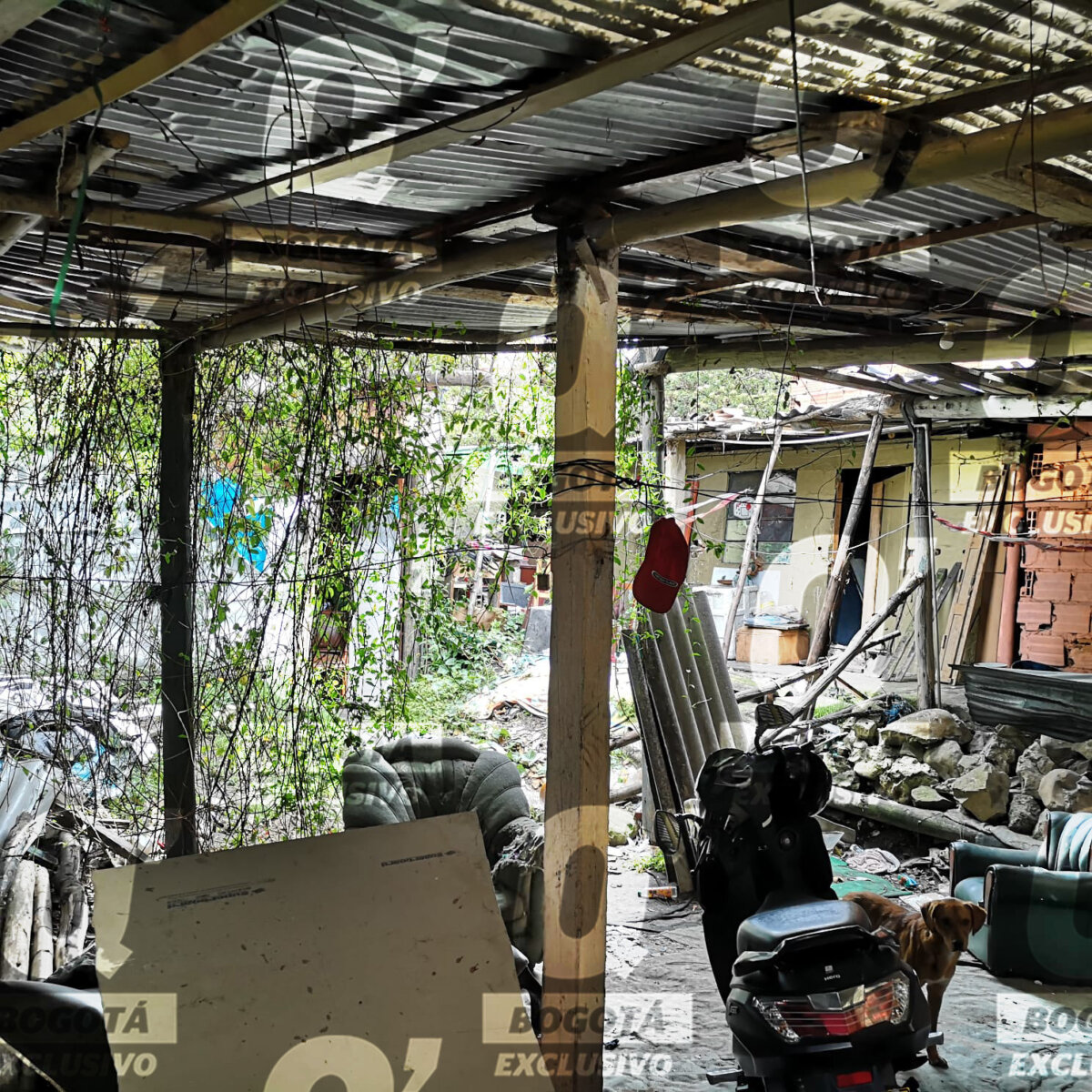 Esta es la vivienda en la que asesinaron a 3 hombres en San Cristóbal En exclusiva Q'HUBO tuvo acceso al interior de la vivienda en la que asesinaron a 3 hombres la noche del domingo en una vivienda del barrio Canadá, en la localidad de San Cristóbal.