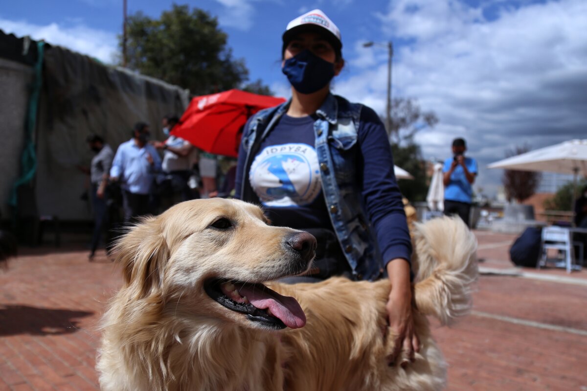 No se pierda las jornadas de adopción de mascotas en Expopet 1 No se pierda las jornadas de adopción de mascotas en Expopet El Instituto Distrital de Protección y Bienestar Animal (Idpyba) estará participando en la feria Expopet que se desarrollará en Corferias desde el 17 hasta el 21 de agosto, allí se desarrollarán diferentes actividades enfocadas a los peluditos como jornadas de adopción, pedagógicas, lúdicas y educativas, orientadas a mejorar las condiciones de bienestar de estos seres.