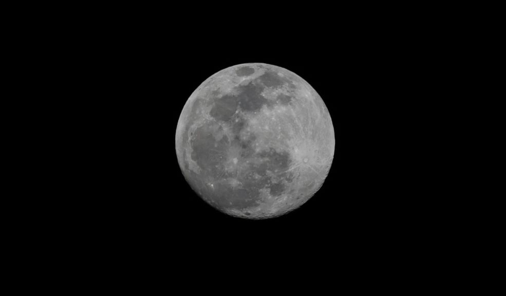 Así influyen los ciclos de la luna en las plantas y la jardinería