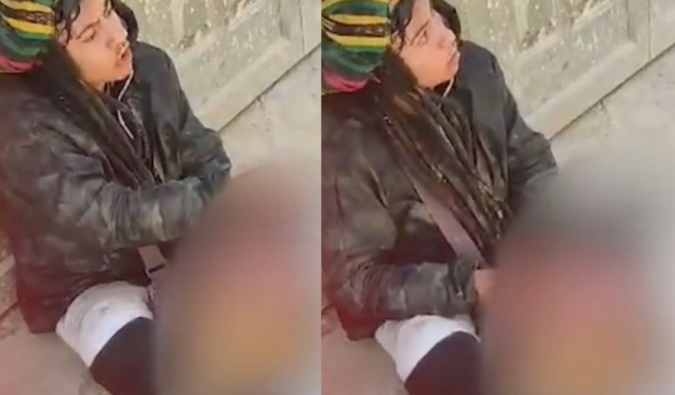 ¡Aterrador! Mujer se comió un perro muerto en plena calle de Bogotá En video quedó registrado el macabro momento en el que una mujer se está comiendo un perro en plena calle de Bogotá.