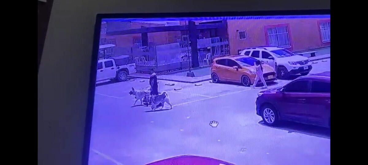 Terrible ataque de perro a una niña de 7 años en Ciudad Bolívar Ver las imágenes de las lesiones que le causó un perro de raza Akita japonés a una menor de tan solo 7 años le desgarra el alma a cualquiera.