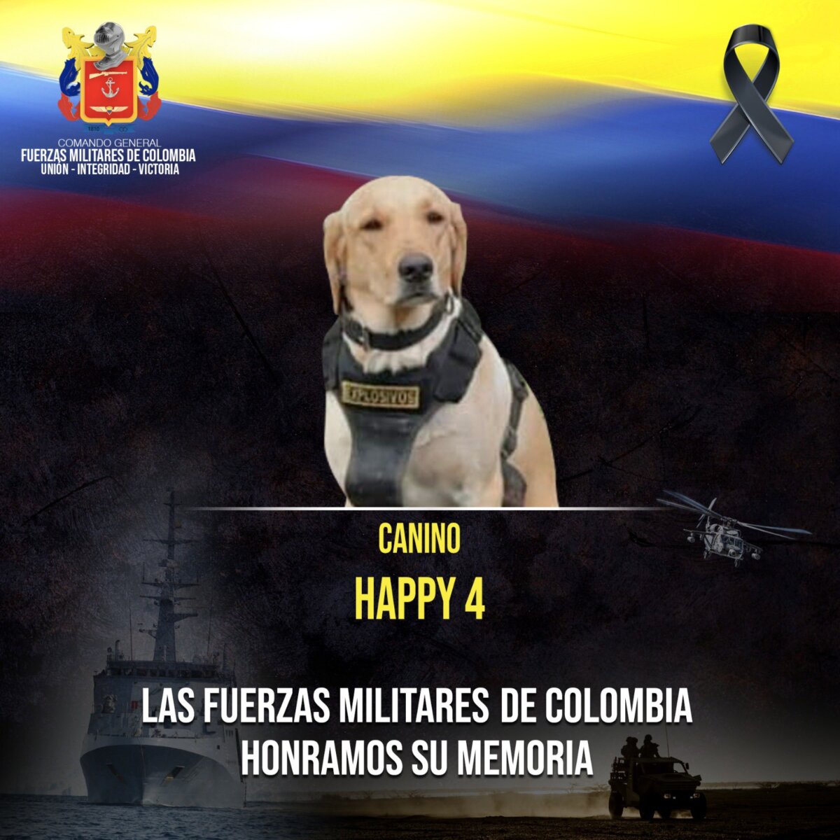 Un perrito falleció tras detectar explosivo en el Meta 1 Un perrito falleció tras detectar explosivo en el Meta El perrito falleció tras detectar un artefacto explosivo colocado en zona urbana del municipio de Puerto Rico, Meta.