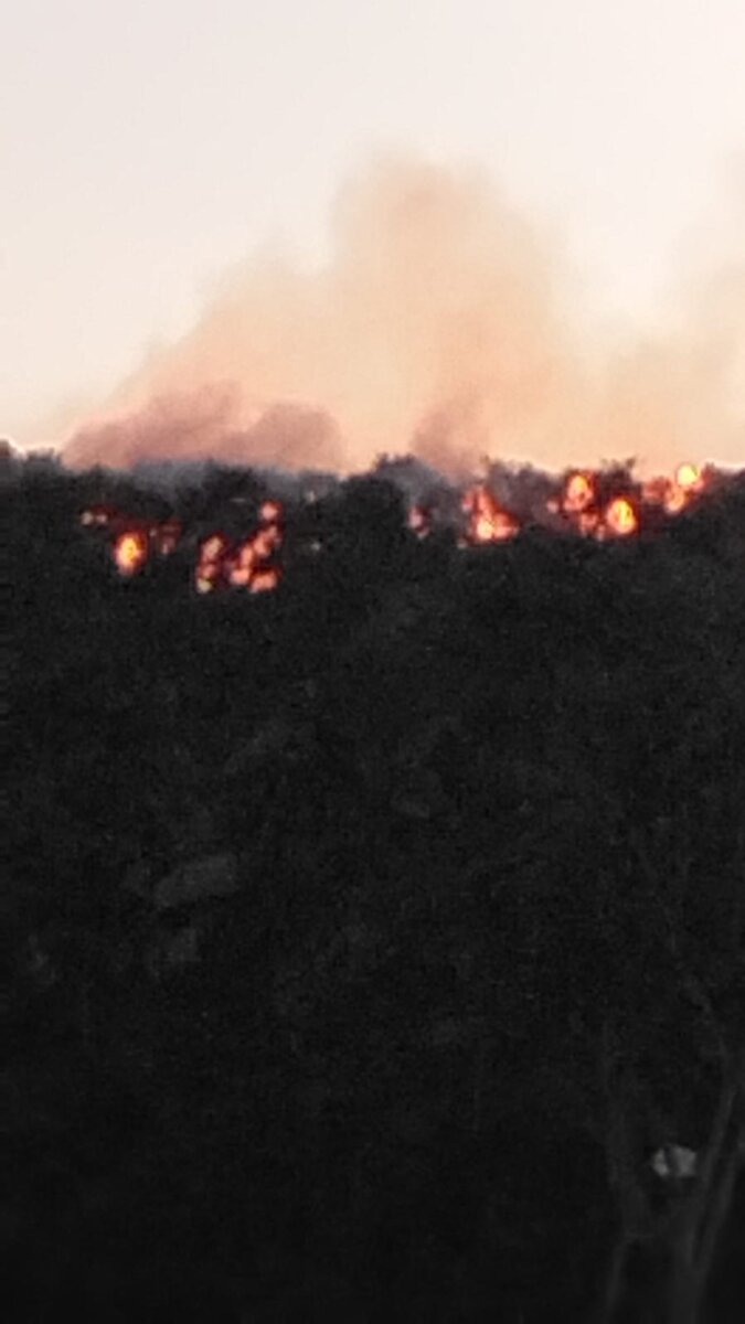 Pánico por incendios en Bogotá y Soacha La noche de este jueves se presentaron graves incendios en Bogotá y Soacha.