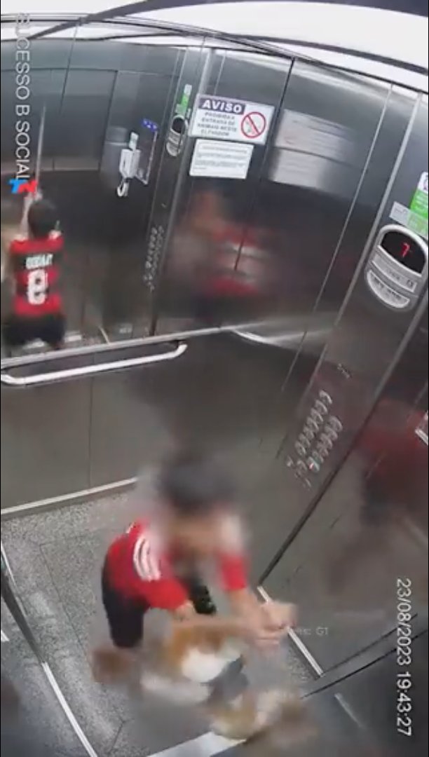 ¡Es un héroe! Niño salvó a su perrita de morir ahorcada en un ascensor La valentía de un niño de 11 años al enfrentarse a una emergencia en un ascensor quedó registrada en un video que se ha hecho viral en las redes sociales. Este incidente ocurrió en Brasil y rápidamente se difundió por todo el mundo.