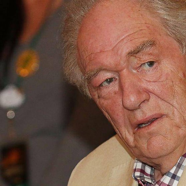 Varitas al cielo: murió Michael Gambon, actor que interpretó a Dumbledore en Harry Potter 1 Varitas al cielo: murió Michael Gambon, actor que interpretó a Dumbledore en Harry Potter